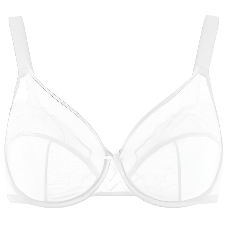 Enchante Floral Lace Unlined Comfort Non-padded Full Coverage Plus Size Underwire Bra