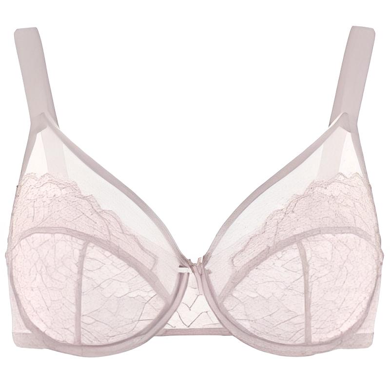Enchante Floral Lace Unlined Comfort Non-padded Full Coverage Plus Size Underwire Bra