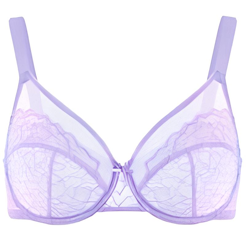 Enchante Floral Lace Unlined Comfort Non-padded Full Coverage Plus Size Underwire Bra