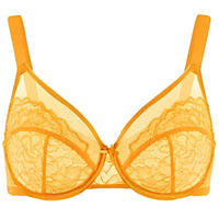 Cadmium Yellow