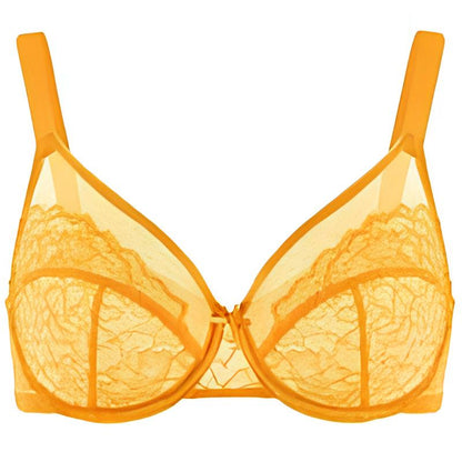 Enchante Floral Lace Unlined Comfort Non-padded Full Coverage Plus Size Underwire Bra