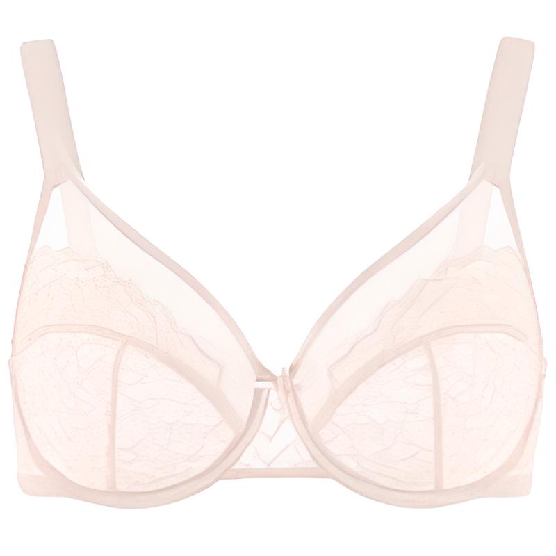 Enchante Floral Lace Unlined Comfort Non-padded Full Coverage Plus Size Underwire Bra